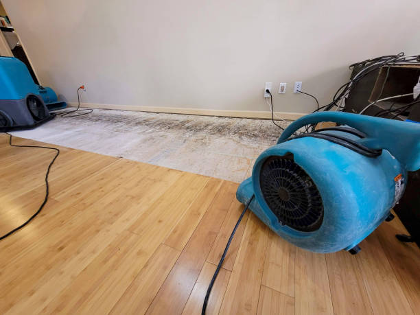 Professional Flood Damage Cleanup technician working in Stoddard, WI
